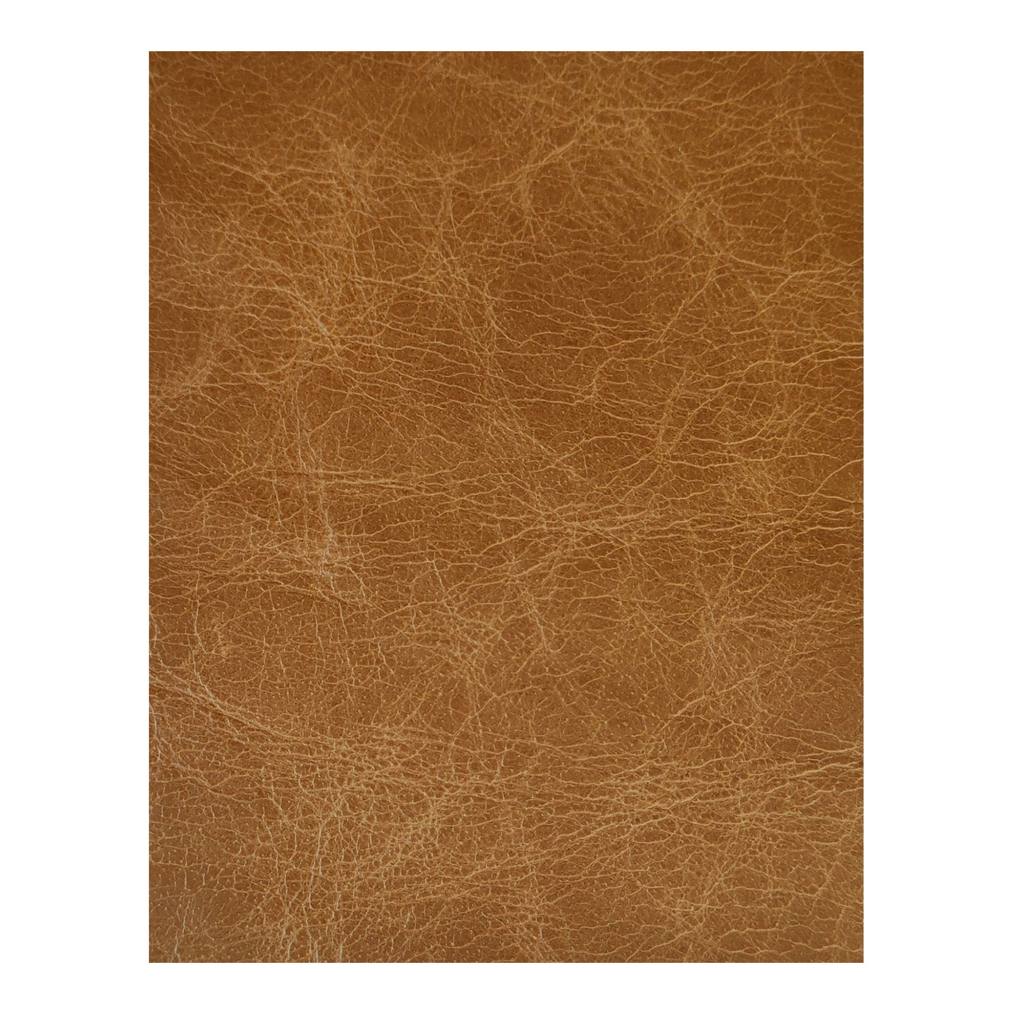 Bridgers Power Recliner Sofa Tan Leather, Sofas & Sectional by Moe's Home, 94.1" width x 33.85" height x 37.8" depth View 7