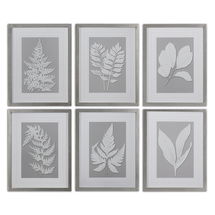 Online Designer Business/Office Moonlight Ferns Framed Art, S/6