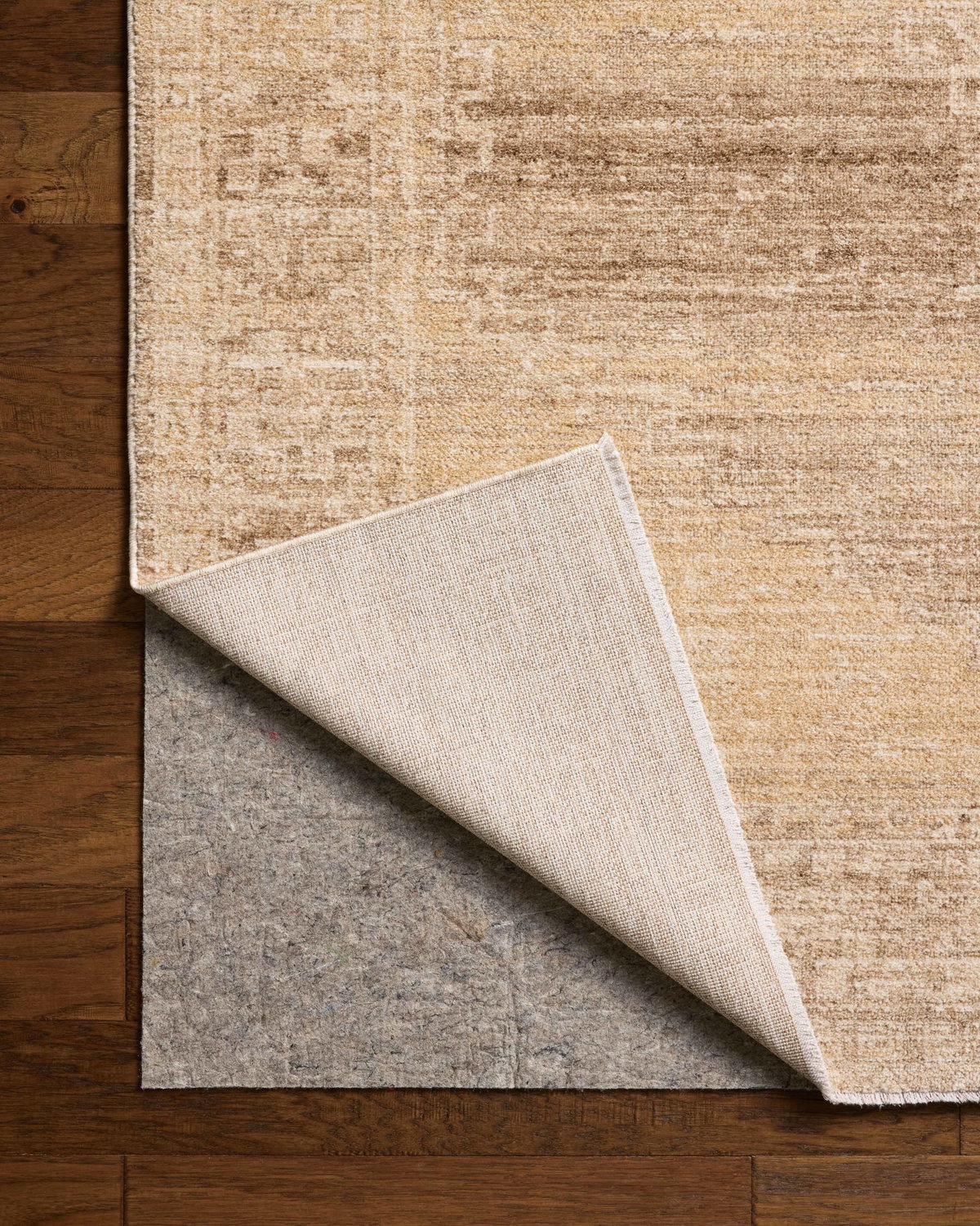 Chris Loves Julia x Loloi Palma Rug, 1'6" length x 1'6" width View 7