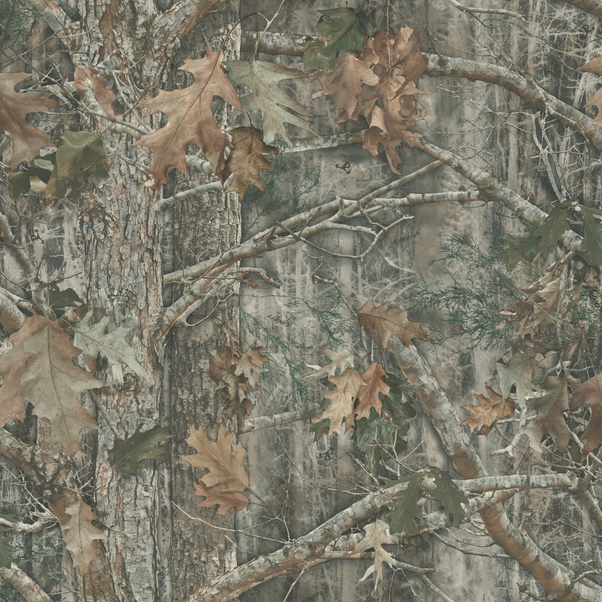 Kanati Camo Green Peel & Stick Wallpaper, by York Wall, 16'6" length x 1'8.5" width x 0.02" depth