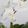 Transcend Orchid Centerpiece thumbnail 4