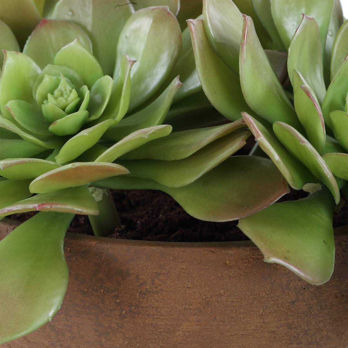 Sable Succulent Accent In Pot, Artificial Plants & Flower by Uttermost, 13.25" width x 8.5" height x 13.25" depth View 7