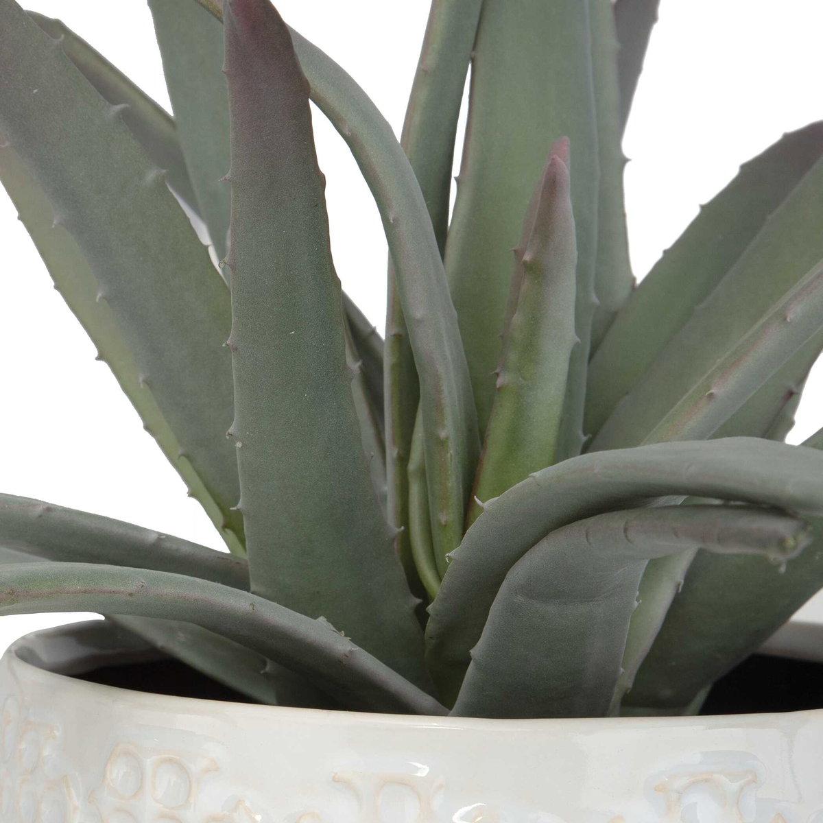 Taos Aloe Centerpiece, by Uttermost, 1'5" width x 1'5.5" height x 1'5.5" depth View 6