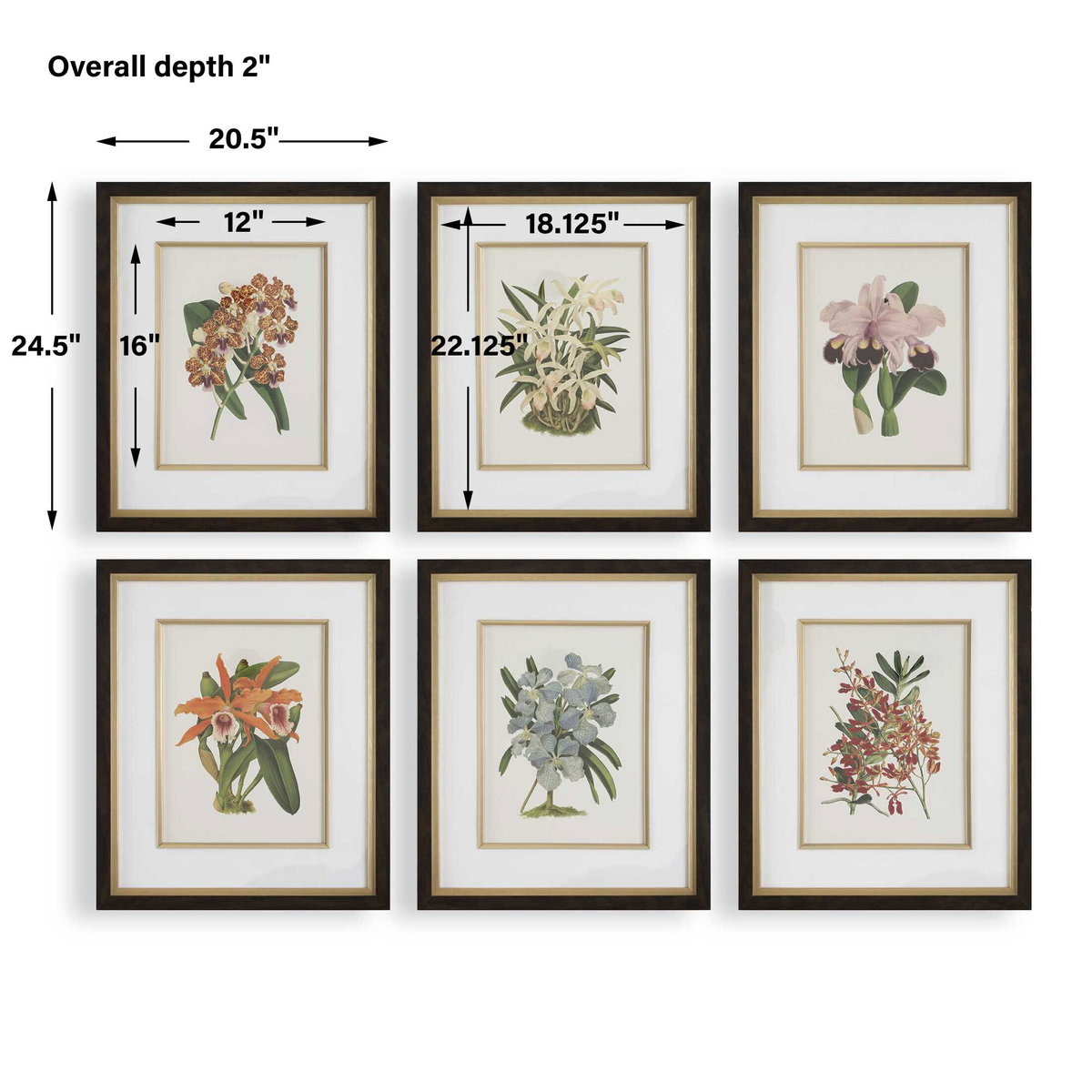 Orchid Botanical Framed Prints Set/6, Painting by Uttermost, 20.5" width x 24.5" height x 2" depth View 3