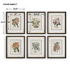 Orchid Botanical Framed Prints Set/6 2 Orchid Botanical Framed Prints Set/6 thumbnail 2
