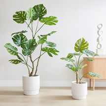 Online Designer Home/Small Office 3' Potted Monstera Plant + Fluted Planter