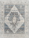 Chicago Machine Woven Rug, by Surya, 15'7.01" length x 11'11.7" width thumbnail