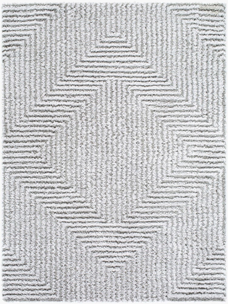 Nomadic Machine Woven Rug, by Surya, 10'0.08" length x 7'10.49" width
