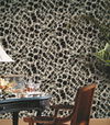 Leopard Rosettes Black Wallpaper thumbnail 1