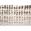 Ariella Indoor Rug, by Renwil, 10'0.1" height x 0.4" depth thumbnail 2