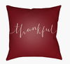 Thankful Accent Pillow, Decorative Pillow by Surya, 18" length x 18" width thumbnail