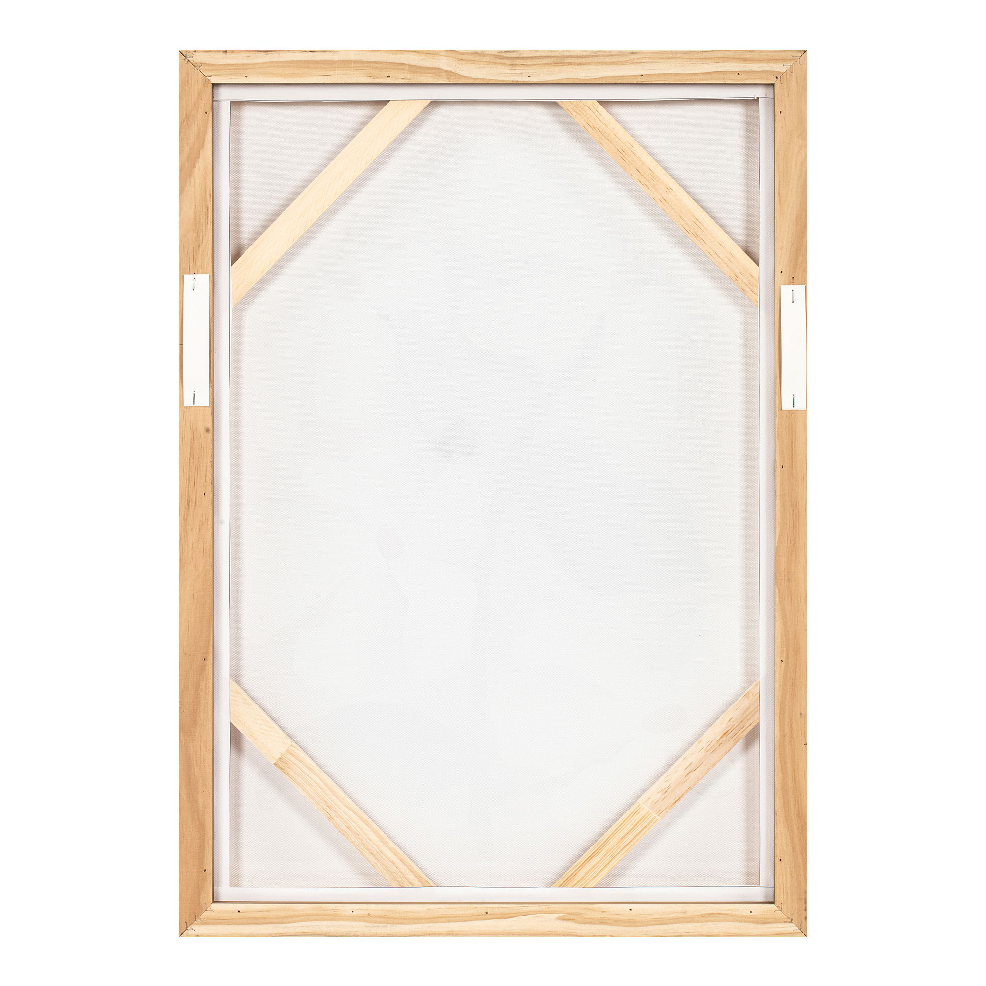 Blush Framed Painting large image 
