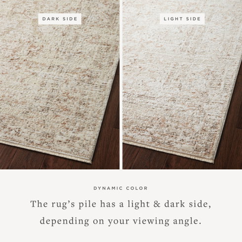 Loloi Sonnet Rug