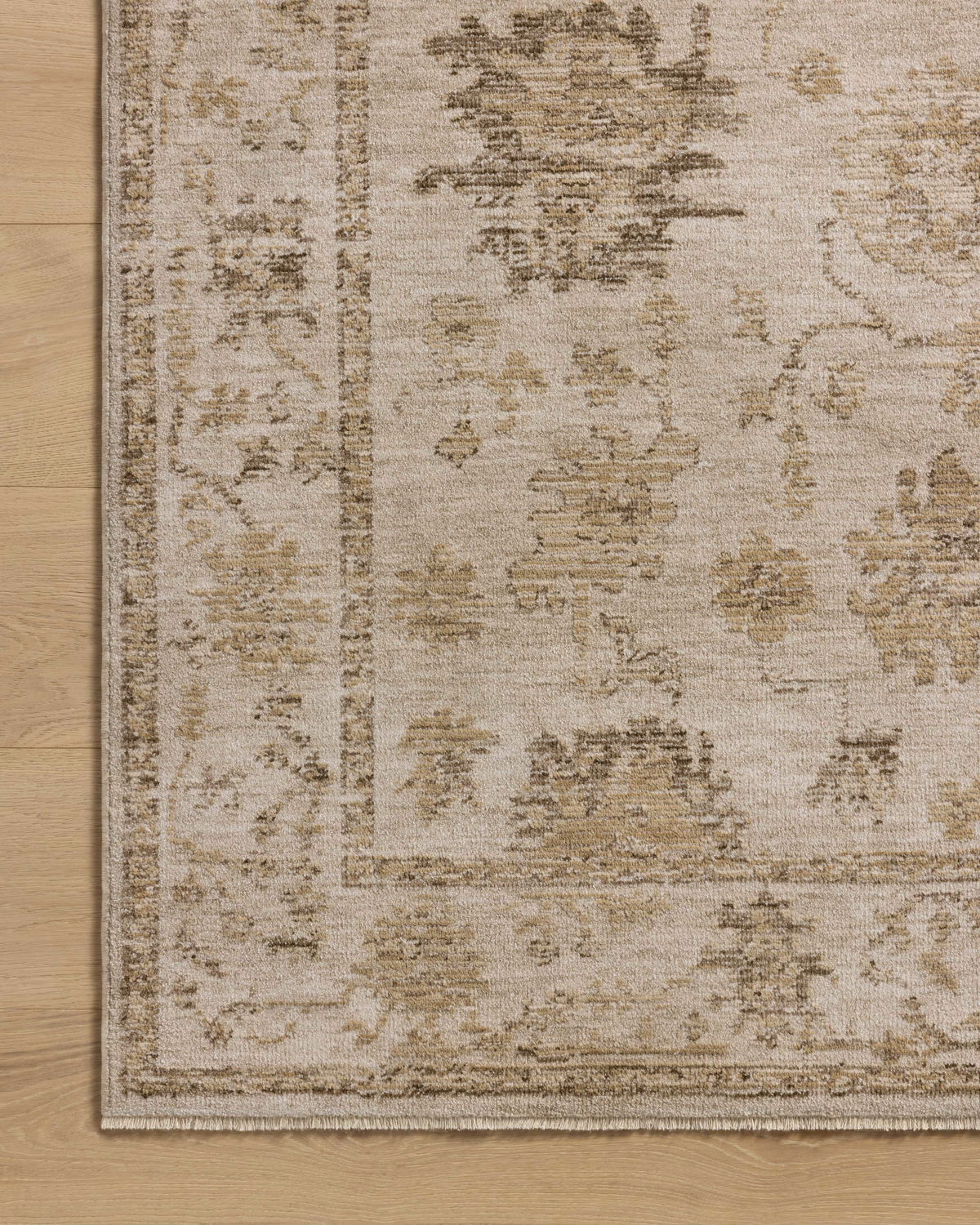 Loloi Willa Rug, 1'6" length x 1'6" width View 5