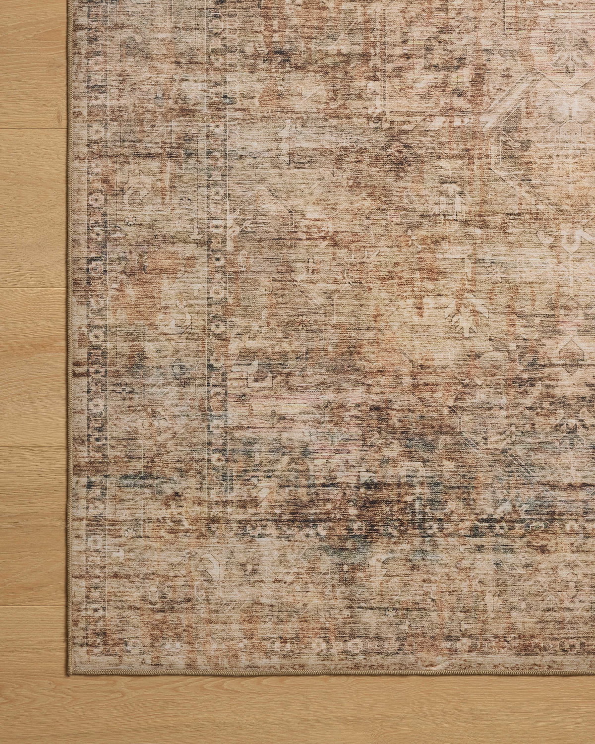 Loloi Anniston Rug, 1'6" length x 1'6" width View 8