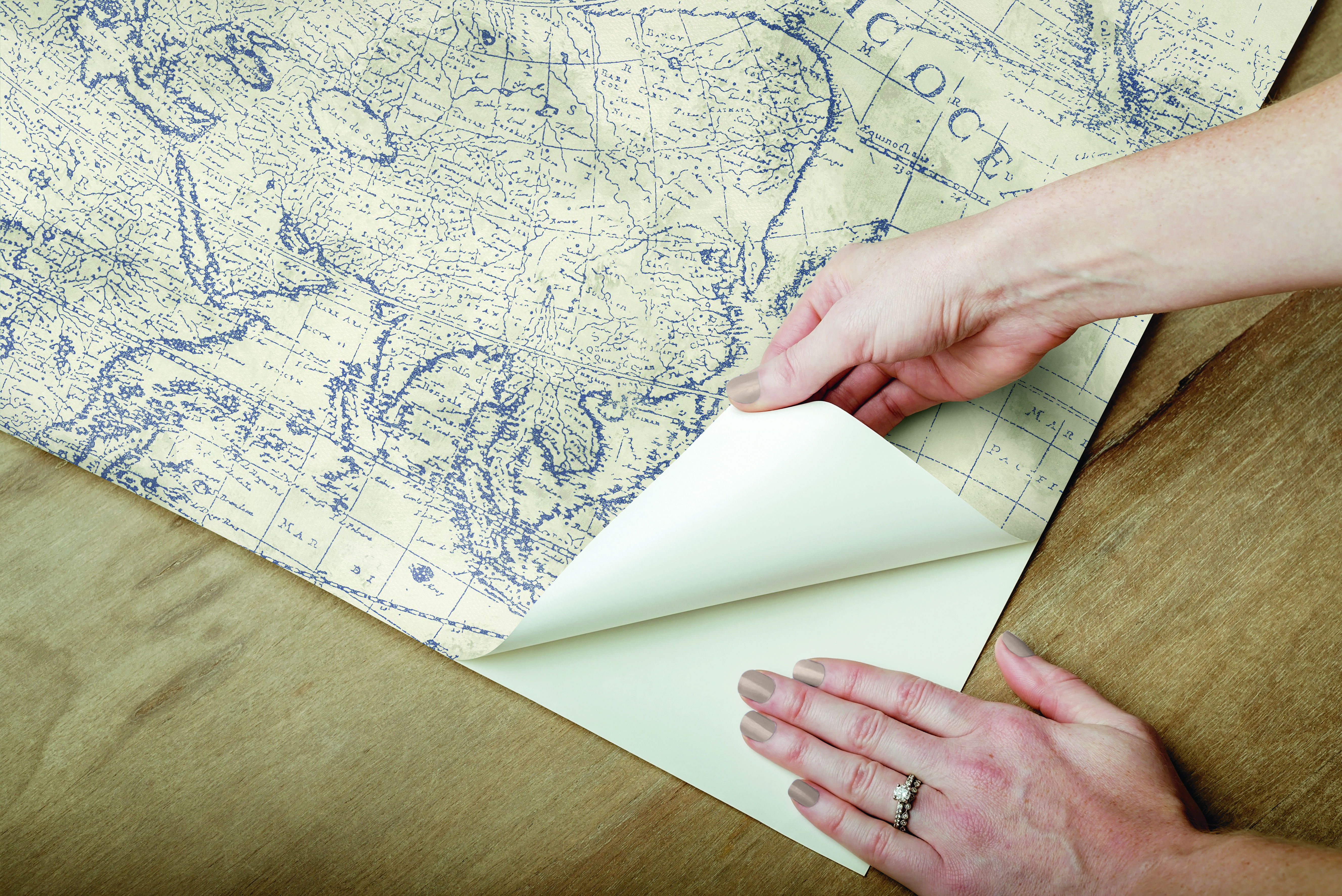 Coastal Map Blue & Beige Peel & Stick Wallpaper large image 