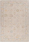 Avant Garde Machine Woven Rug, by Surya, 9'6.17" length x 6'6.74" width thumbnail