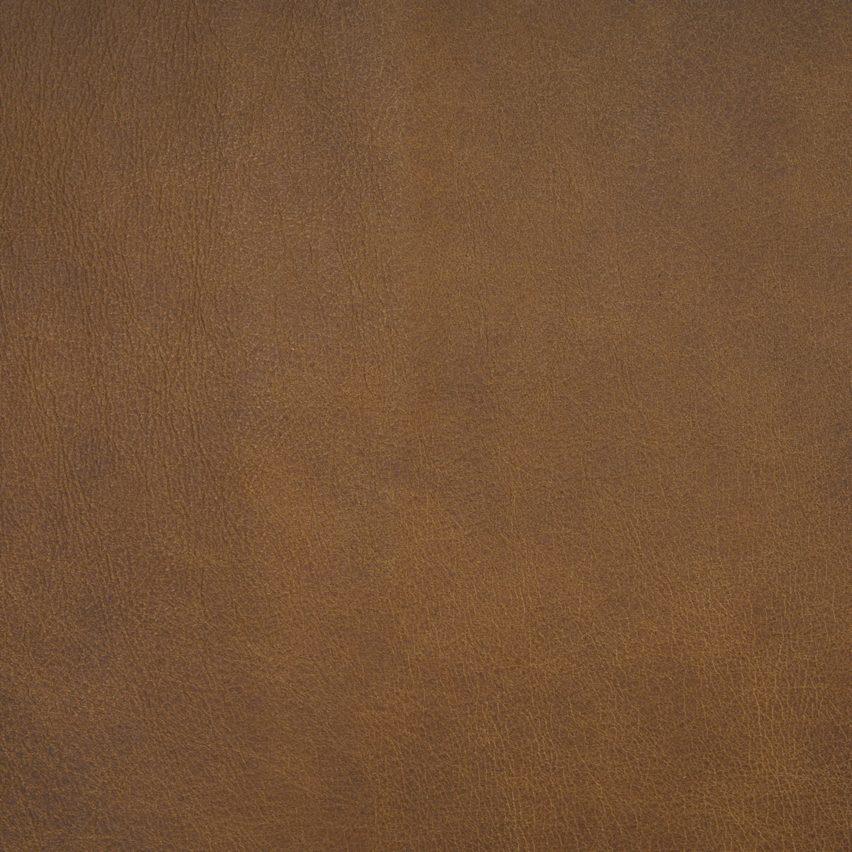 Berbick Open Back Dining Side Chair | Medium Brown Leather with Iron, Dining Chair by Mercana, 20.5" length x 24" width x 33" height View 3
