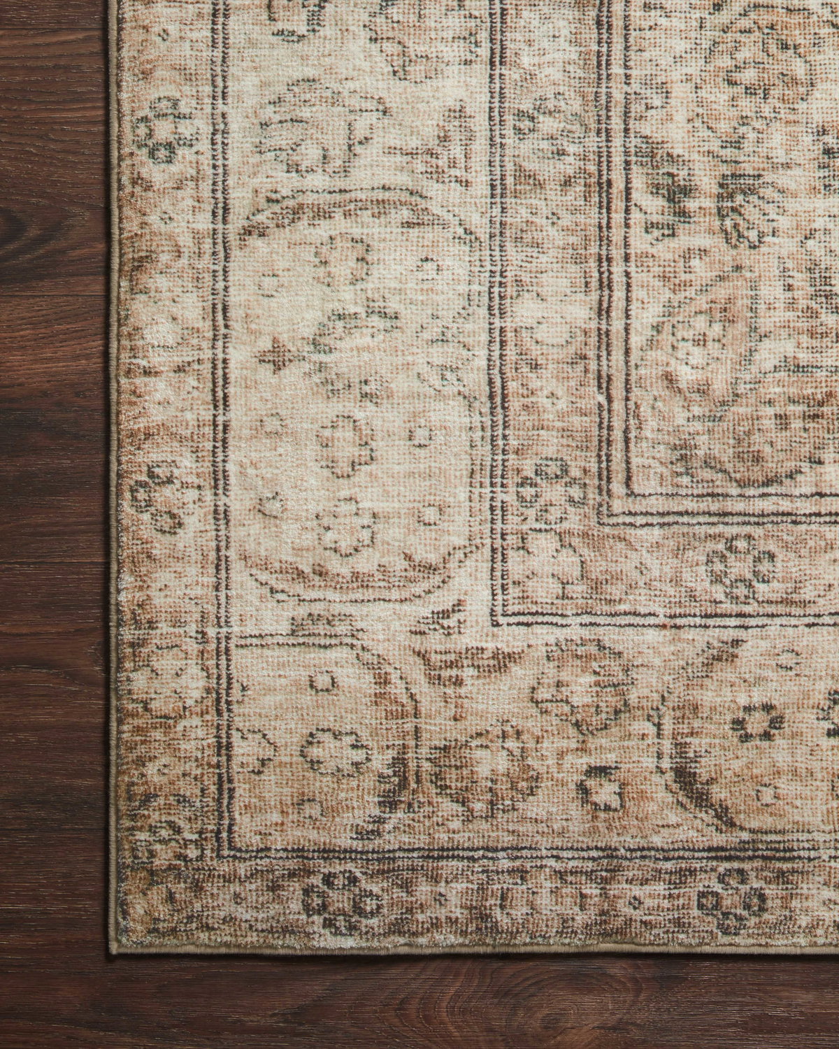 Loloi Margot Rug, 5' length x 7'6" width View 12