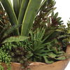 Salar Succulents In Teak Bowl thumbnail 4