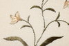 Loloi Pixie Flowers Beige Wall Art, Wall Hanging, 12" length x 15" width thumbnail 3
