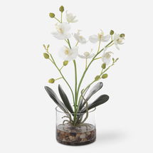 Online Designer Bedroom Glory Orchid