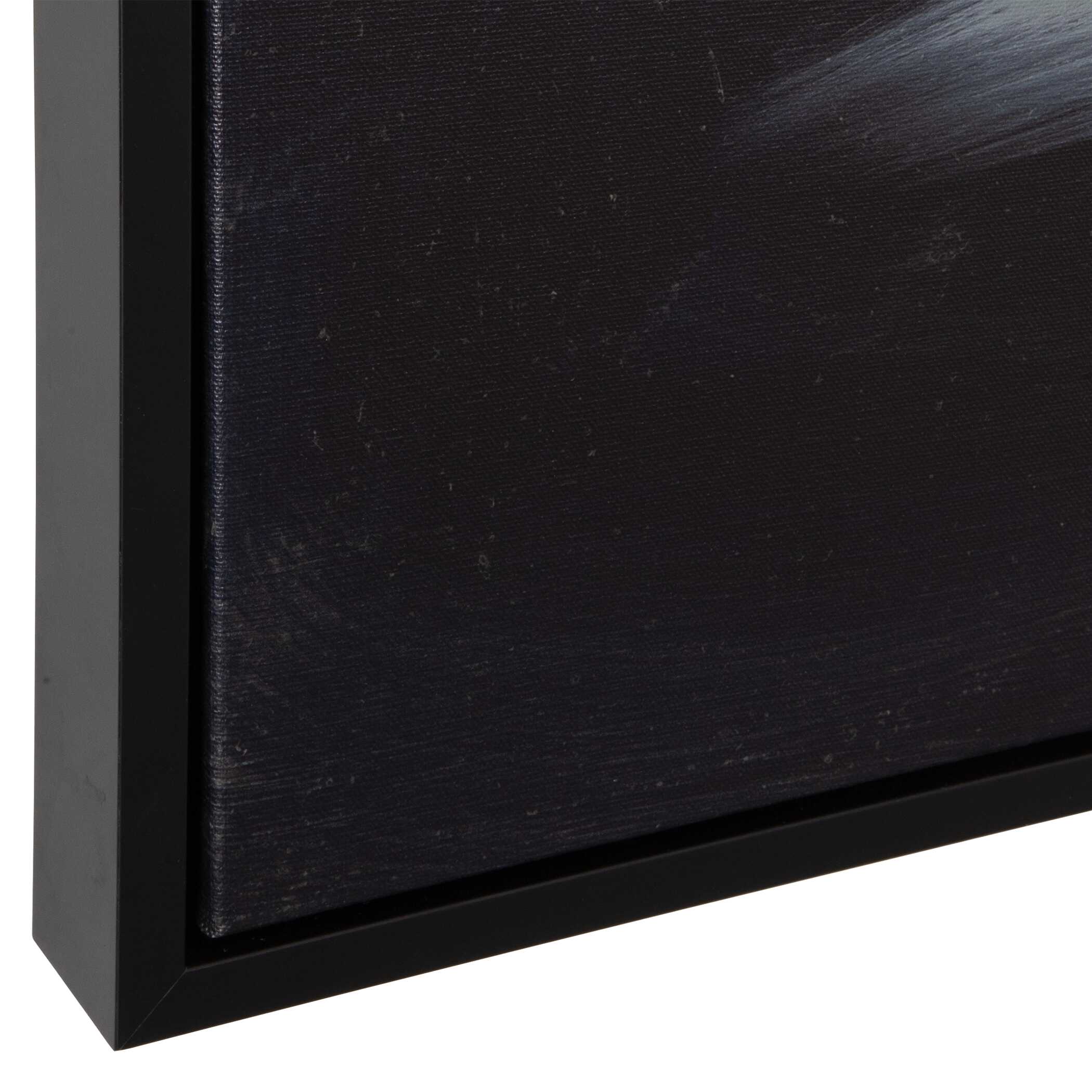 Peony Framed Floral Art, Painting by Uttermost, 51.5" width x 51.5" height x 2" depth View 6