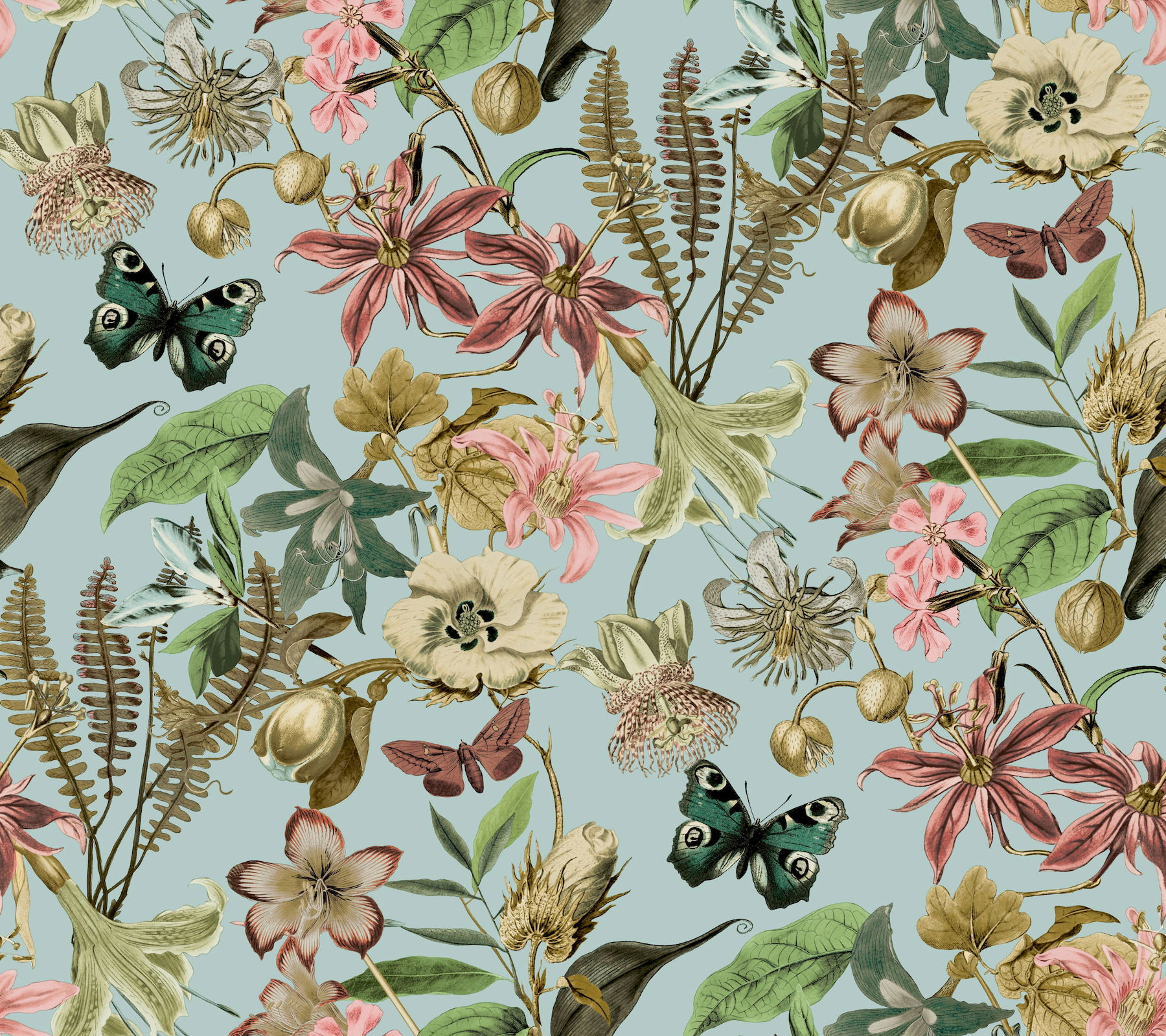 Butterfly House Sky Blue Wallpaper large image 