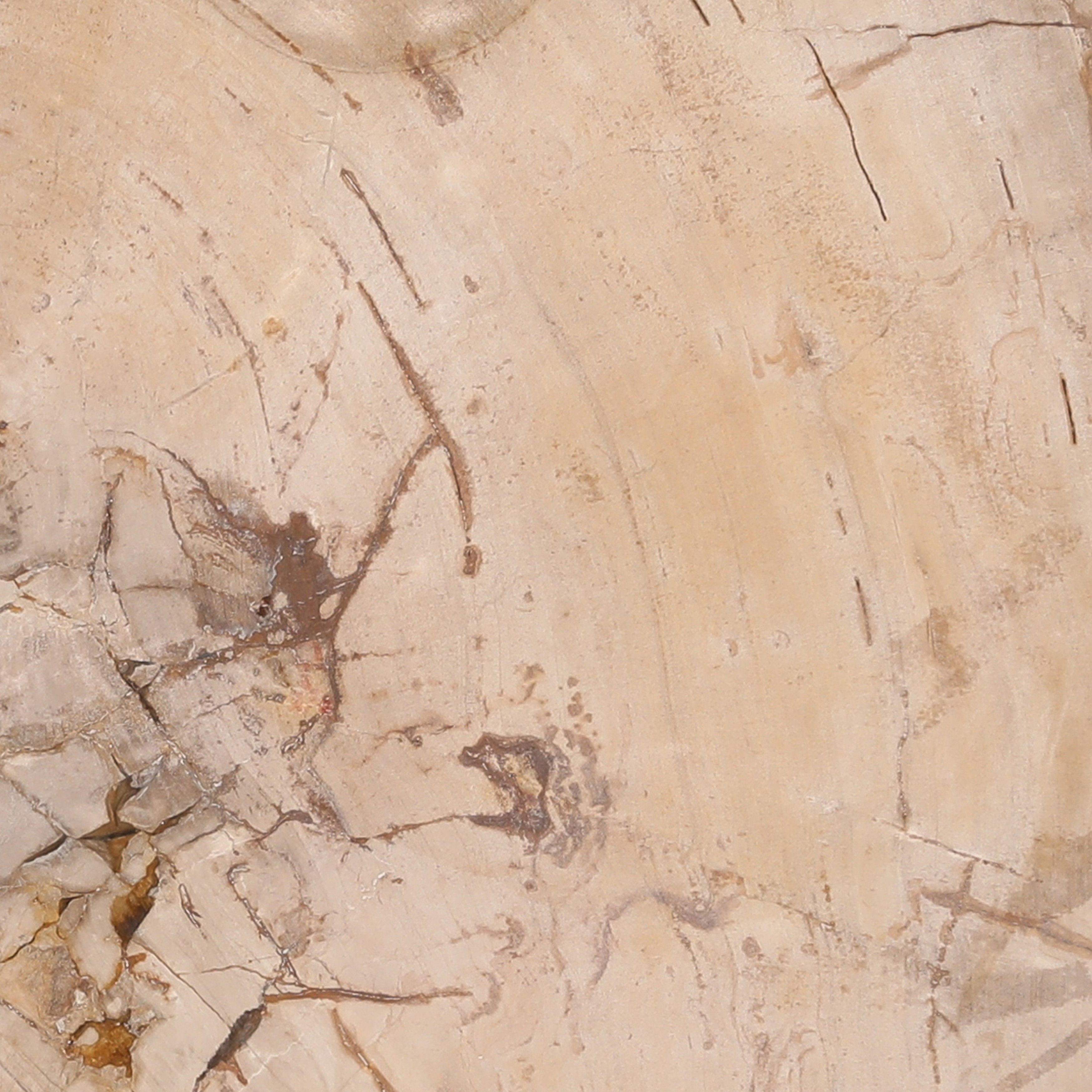 Brittany Coffee Table Natural Large, by Dovetail, 25.6" width x 15.5" height x 25.6" diameter x 25.6" depth View 4