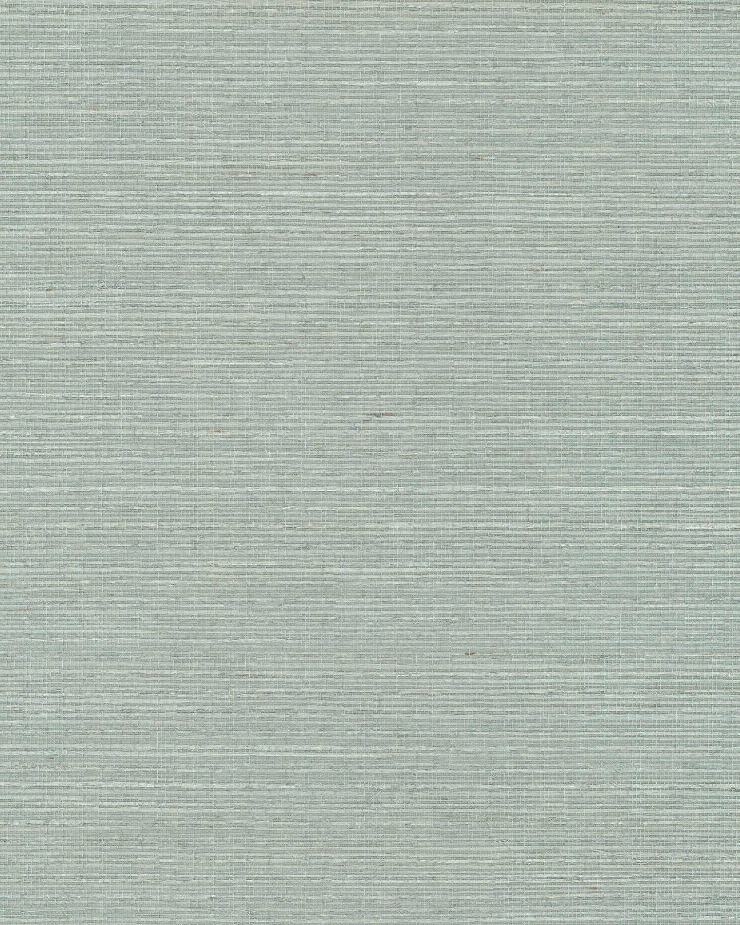 Maguey Sisal Blue Wallpaper large image 
