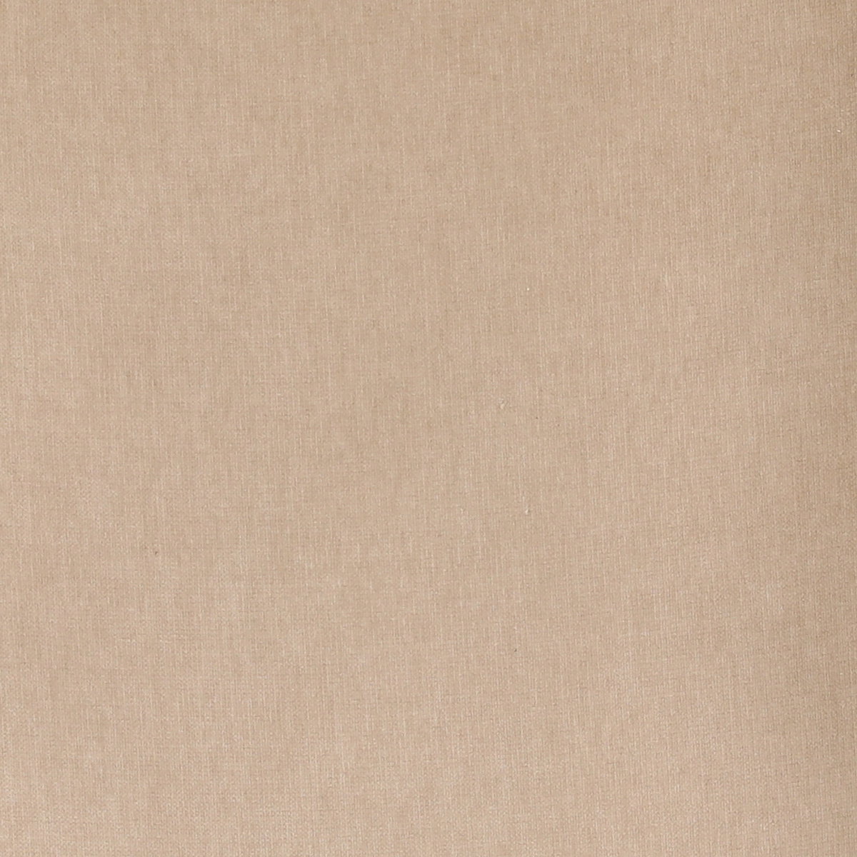 Talesa Dining Chair Sand, by Dovetail, 23.25" width x 35.5" height x 25.75" depth View 5