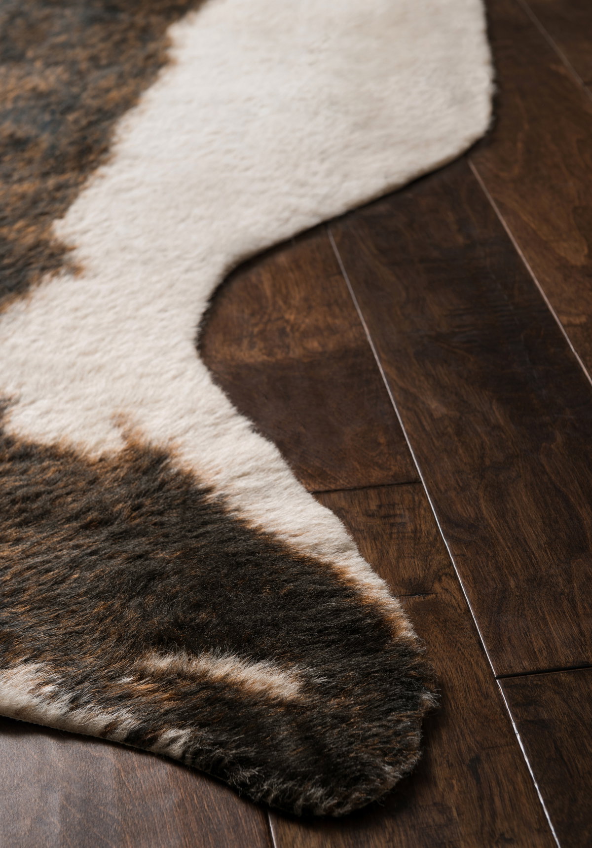 Loloi Grand Canyon Rug, 5' length x 6'6" width View 8