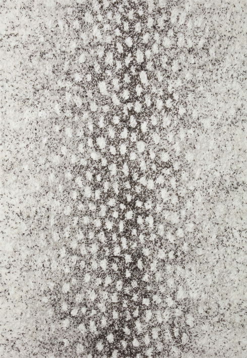 Loloi II Bliss Shag Rug