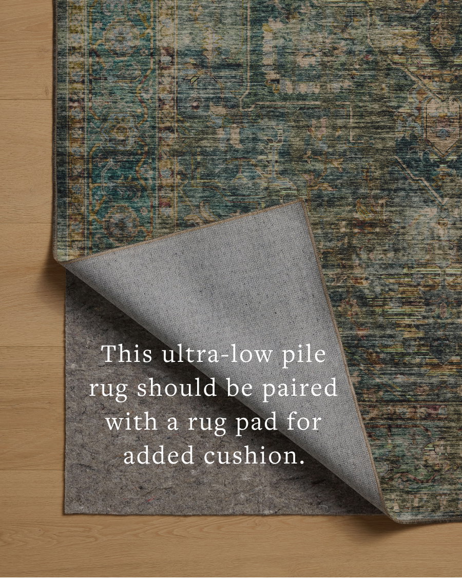 Loloi Anniston Rug, 2'6" length x 7'6" width View 3