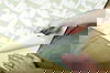 Cat Tails Beige Peel & Stick Wallpaper thumbnail 5