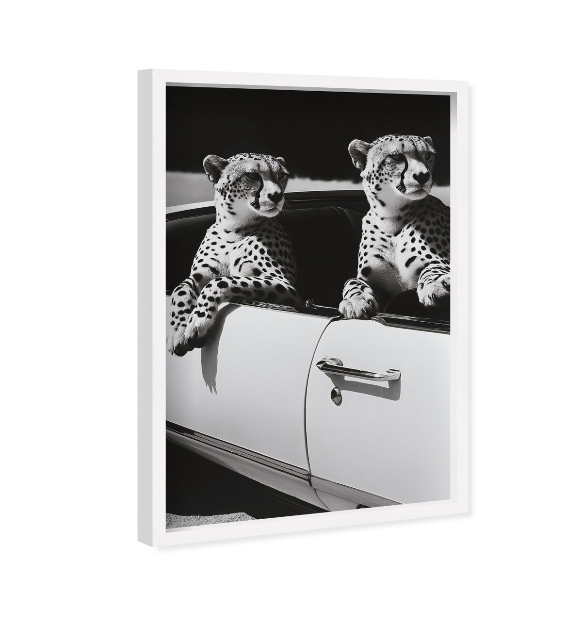 Convertible Feline II (No Embellishment), Art by Oliver Gal,  24x36 View 2