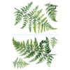 Watercolor Fern XL Giant Wall Decals, by York Wall, 3' length x 2'2.12" width x 6.45" depth thumbnail
