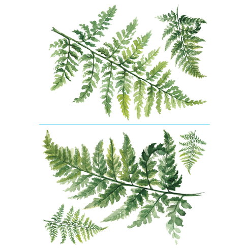 Watercolor Fern XL Giant Wall Decals