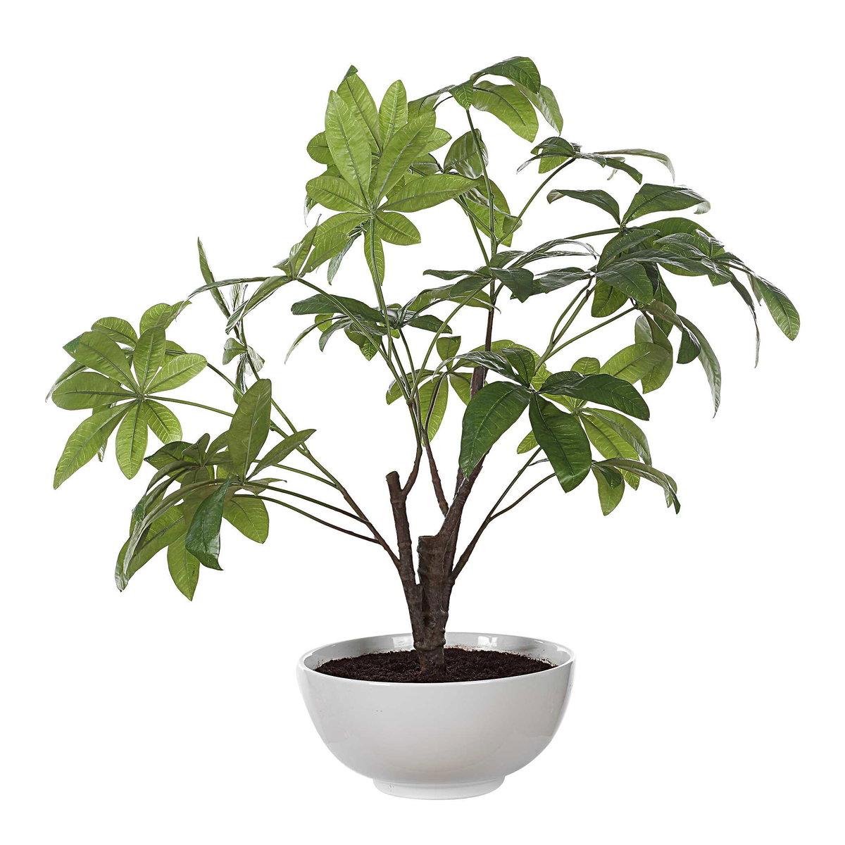 Pachira Money Tree, Artificial Plants & Flower by Uttermost, 26.5" width x 34.5" height x 28.25" depth View 5