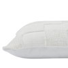 Terrah Indoor Pillow, Decorative Pillow by Renwil, 20" height thumbnail 4