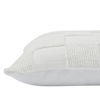 Terrah Indoor Pillow thumbnail 4