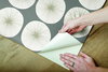 Soho Starburst Grey Peel & Stick Wallpaper, by York Wall, 20' length x 1'8.5" width x 0.02" depth thumbnail 5