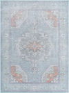 Calhoun Machine Woven Rug, by Surya, 10'5.98" length x 7'10.49" width thumbnail