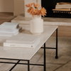 River Coffee Table Botticino Marble, by Moe's Home, 52.5" width x 17" height x 27.5" depth thumbnail 6