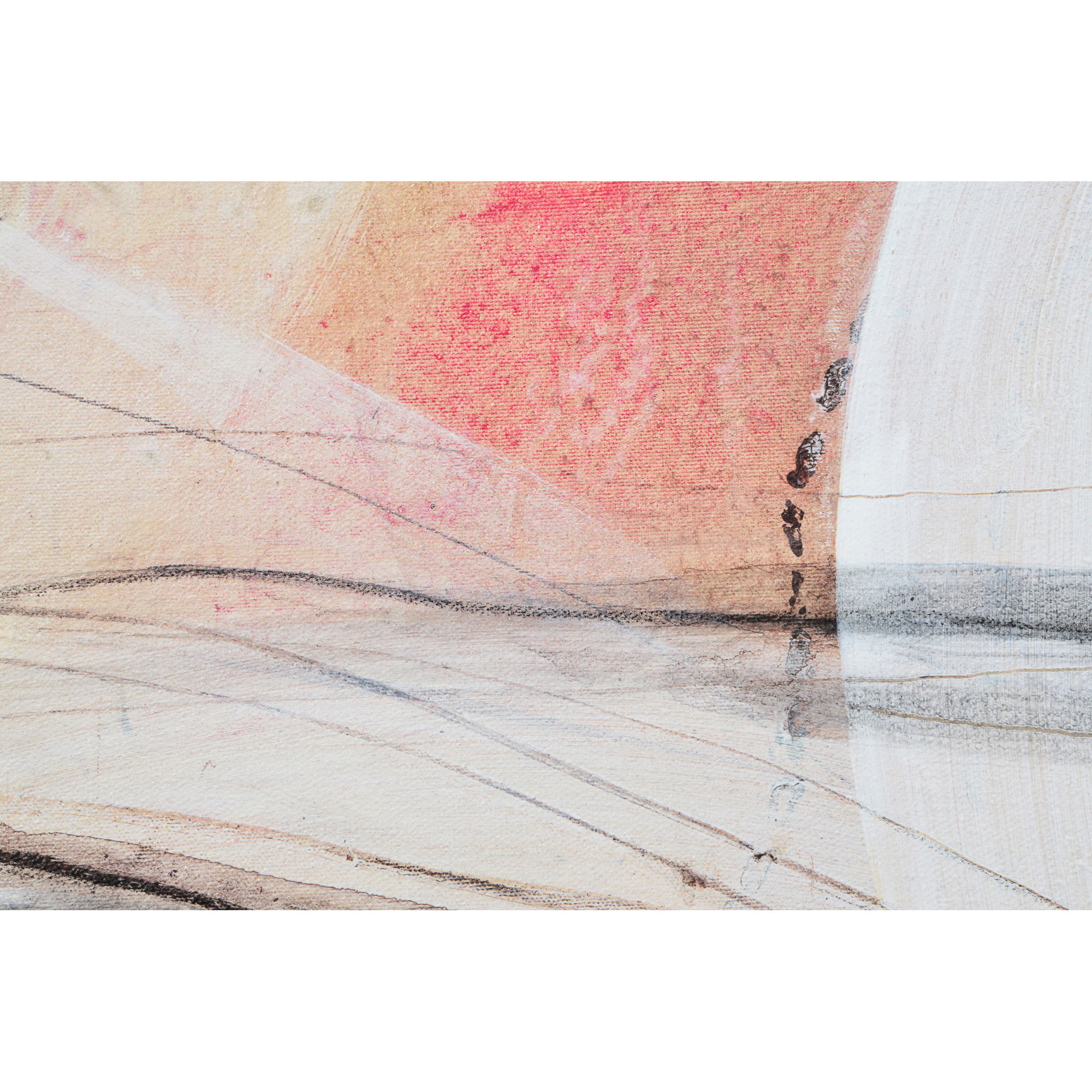 Curiosity Canvas Art large image 