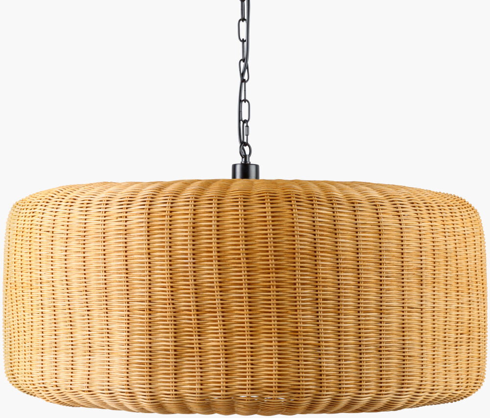 Pari Pendant, by Surya, 30" length x 30" width x 85" height