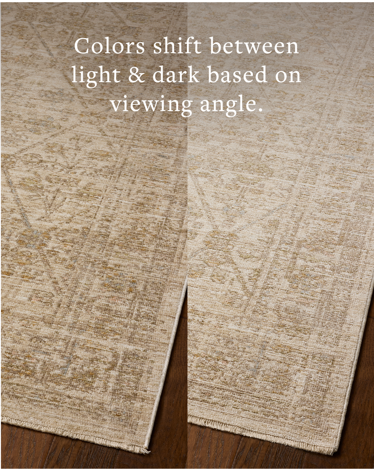 Loloi Elora Rug, 4' length x 5'7" width View 9