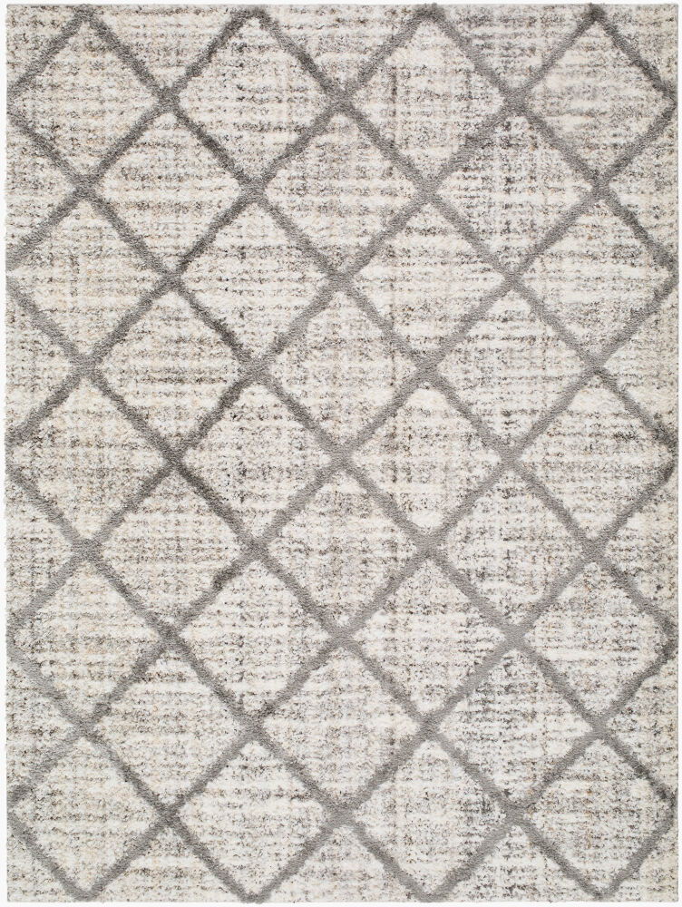 Honour Machine Woven Rug large image 