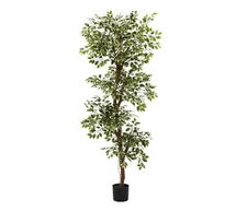 Online Designer Other Faux Variegated Ficus Tree, 6'