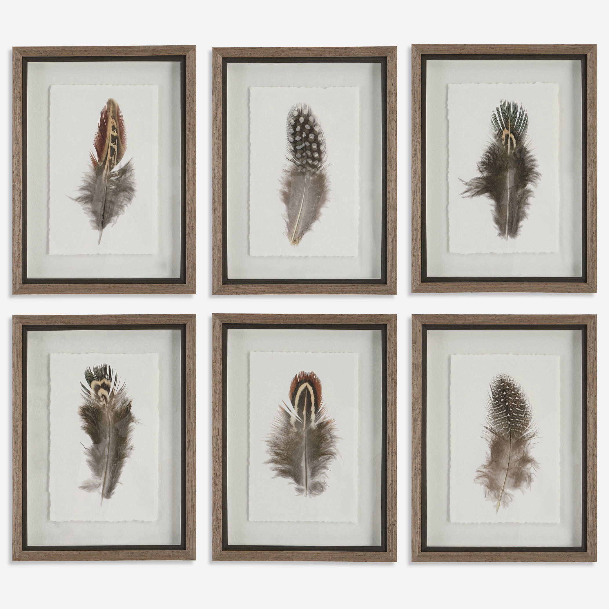 Birds Of A Feather Framed Prints, S/6 large image 